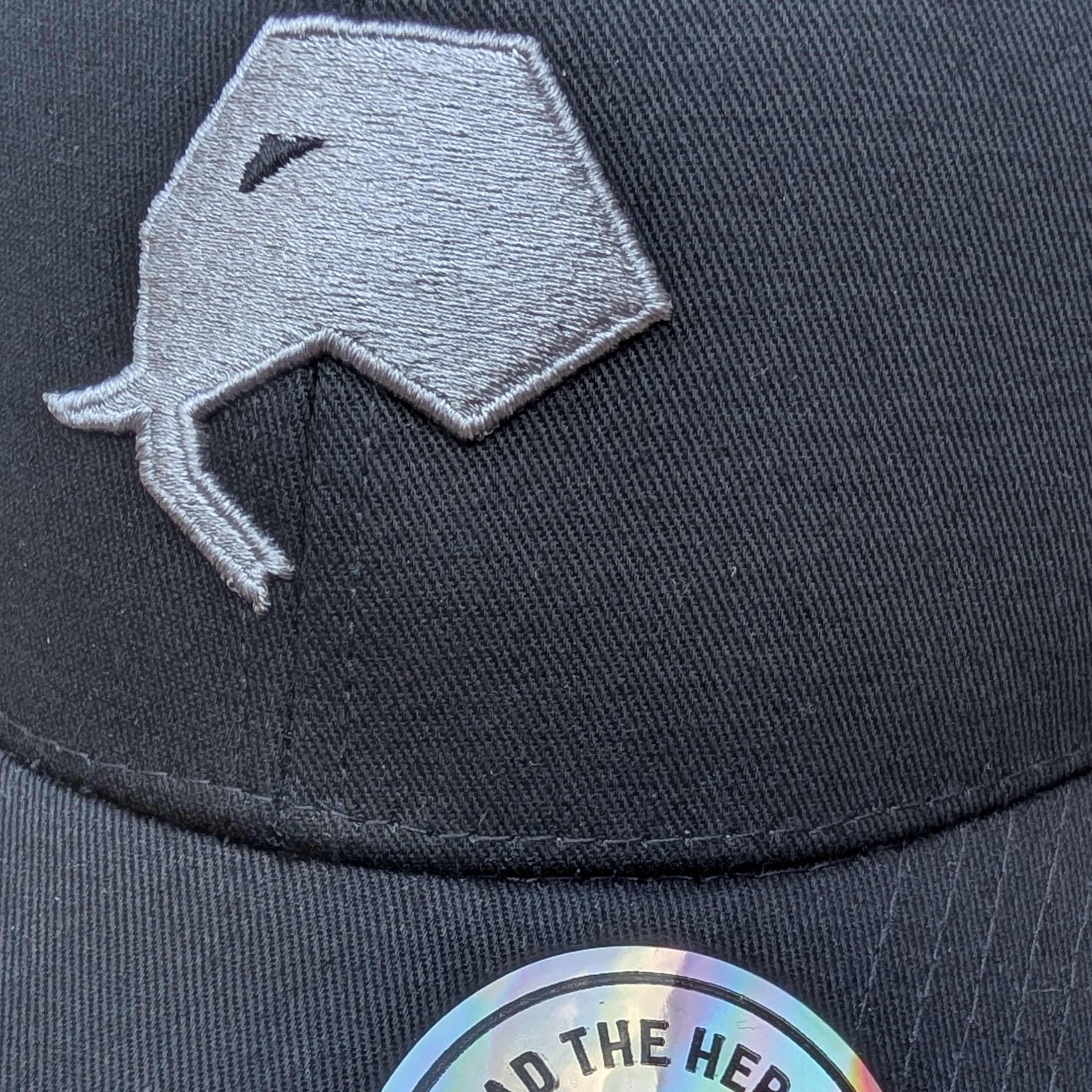 כובע שחור לוגו כסוף אלפנט סקין